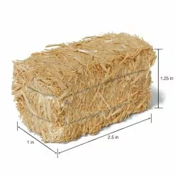 Best deal ❤️ 12 Pack: 2" Straw Bale by Ashland® 🧨 -Ashland Online Store MP322651 14