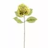 Budget ❤️ 12 Pack: Green Hydrangea Stem by Ashland® 🎁