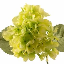 Budget ❤️ 12 Pack: Green Hydrangea Stem by Ashland® 🎁 -Ashland Online Store MP328156 20
