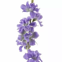 Promo ๐ 12 Pack: Lavender Wild Delphinium Spray by Ashland® ๐ฅฐ 8 Promo ๐ 12 Pack: Lavender Wild Delphinium Spray by Ashland® ๐ฅฐ -Ashland Online Store MP333406 20