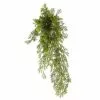 Hot Sale ๐ 12 Pack: Green Springeri Fern Bush by Ashland® โ 2 Hot Sale ๐ 12 Pack: Green Springeri Fern Bush by Ashland® โ -Ashland Online Store MP339547 1