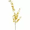 Buy ✨ 12 Pack: Yellow Dancing Orchid by Ashland® ⌛