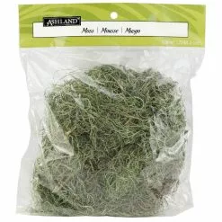 Wholesale 😍 24 Pack: Basil Green Spanish Moss by Ashland® ✨ -Ashland Online Store MP382824 1