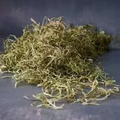 Wholesale 😍 24 Pack: Basil Green Spanish Moss by Ashland® ✨
