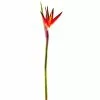 Cheap 👍 12 Pack: Tropical Bird of Paradise Stem by Ashland® 😉 -Ashland Online Store MP390624