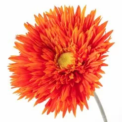 Best Pirce ✨ 12 Pack: Orange Spider Gerbera Daisy Spray by Ashland® ✔️ 13 Best Pirce ✨ 12 Pack: Orange Spider Gerbera Daisy Spray by Ashland® ✔️ -Ashland Online Store MP392668 20