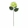 Top 10 🥰 12 Pack: Green Hydrangea Stem by Ashland® ✔️ -Ashland Online Store MP400667 1