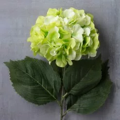 Top 10 🥰 12 Pack: Green Hydrangea Stem by Ashland® ✔️ -Ashland Online Store MP400667 22