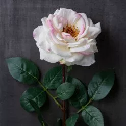 Best deal ✨ 12 Pack: Cream Hydrangea Stem by Ashland® 😍 -Ashland Online Store MP400668 22