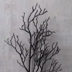 Top 10 ⌛ 12 Pack: Black Bare Branch Spray by Ashland® ⭐ -Ashland Online Store MP400671 22