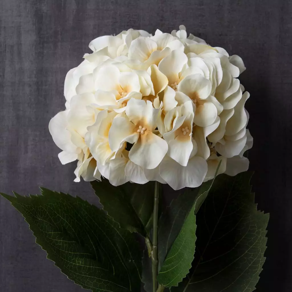 Promo โ 12 Pack: Real Touch™ White Orlane Rose Spray by Ashland® ๐ 4 Promo โ 12 Pack: Real Touch™ White Orlane Rose Spray by Ashland® ๐ - Image 2