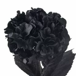 Discount ❤️ 12 Pack: Black Hydrangea Stem by Ashland® 💯 -Ashland Online Store MP402858 20