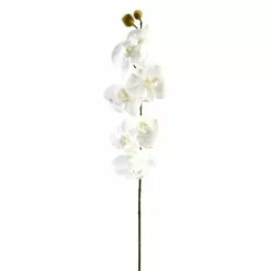 Brand new 💯 16 Pack: White Moth Orchid Stem by Ashland® ✨