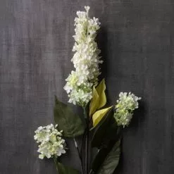 Coupon ⌛ 6 Pack: Cream Lilac Spray by Ashland® ✔️ -Ashland Online Store MP430218 22