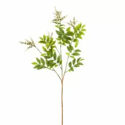 Best deal 🛒 6 Pack: Cream Hybrid Spirea Spray by Ashland® ✨