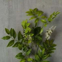 Best deal 🛒 6 Pack: Cream Hybrid Spirea Spray by Ashland® ✨ -Ashland Online Store MP430240 25