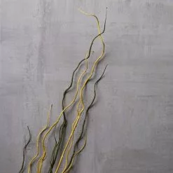 Budget ๐ 12 Pack: Green & Yellow Twig Branch by Ashland® ๐ 11 Budget ๐ 12 Pack: Green & Yellow Twig Branch by Ashland® ๐ -Ashland Online Store MP430277 22