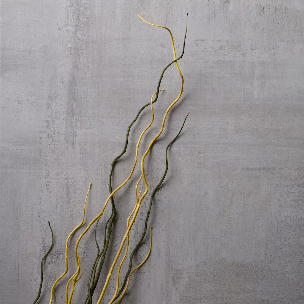 Budget ๐ 12 Pack: Green & Yellow Twig Branch by Ashland® ๐ 7 Budget ๐ 12 Pack: Green & Yellow Twig Branch by Ashland® ๐ - Image 5