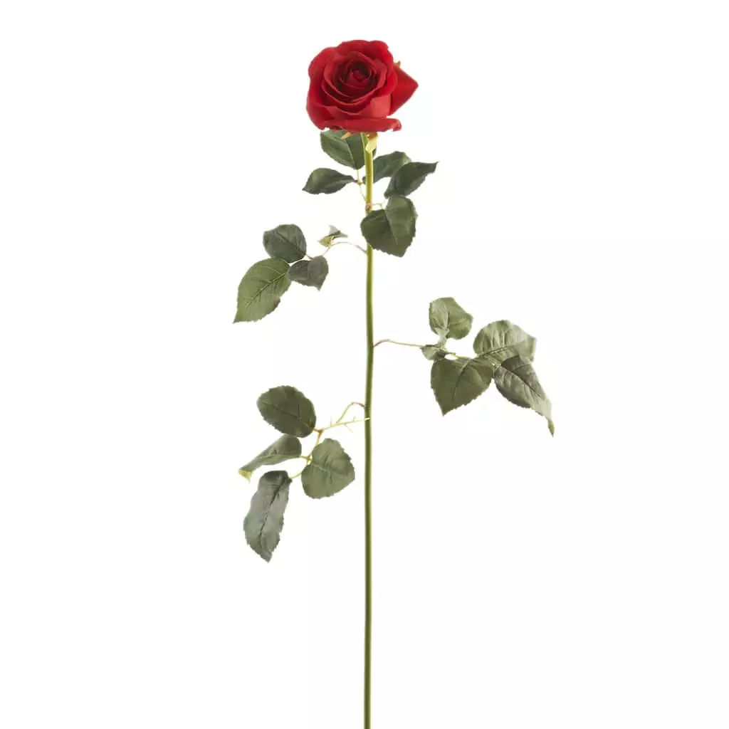 Outlet ๐ 12 Pack: Red Dutch Rose Stem by Ashland® โญ 3 Outlet ๐ 12 Pack: Red Dutch Rose Stem by Ashland® โญ