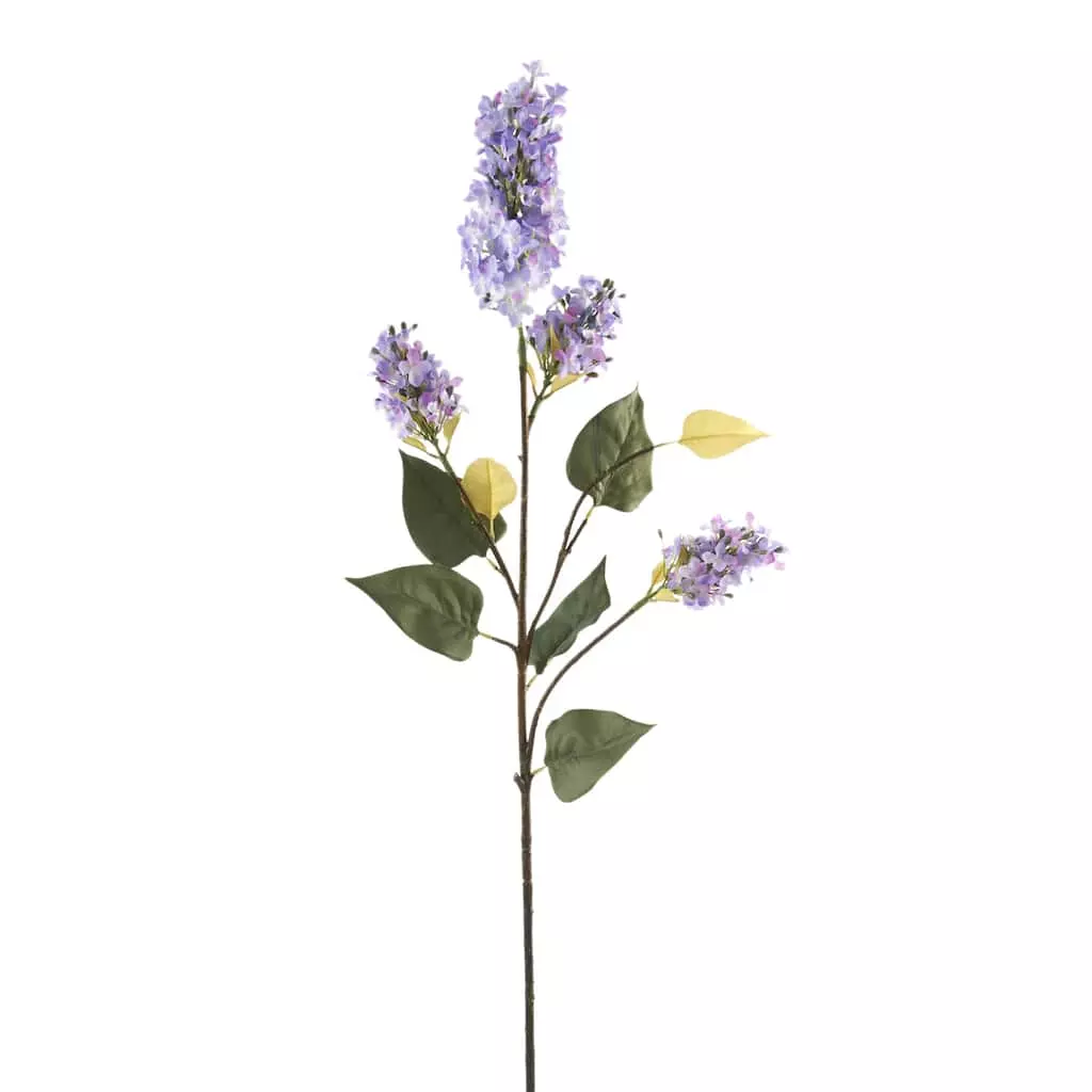 Coupon ๐ 6 Pack: Purple Lilac Spray by Ashland® ๐ 3 Coupon ๐ 6 Pack: Purple Lilac Spray by Ashland® ๐