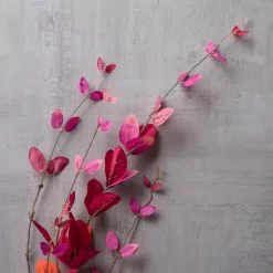 Discount 💯 12 Pack: Burgundy Honeysuckle Leaf Spray by Ashland® ✨ -Ashland Online Store MP430394 22