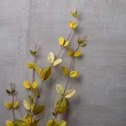 Hot Sale โค๏ธ 12 Pack: Honeysuckle Leaf Spray by Ashland® ๐ 9 Hot Sale โค๏ธ 12 Pack: Honeysuckle Leaf Spray by Ashland® ๐ -Ashland Online Store MP430396 22