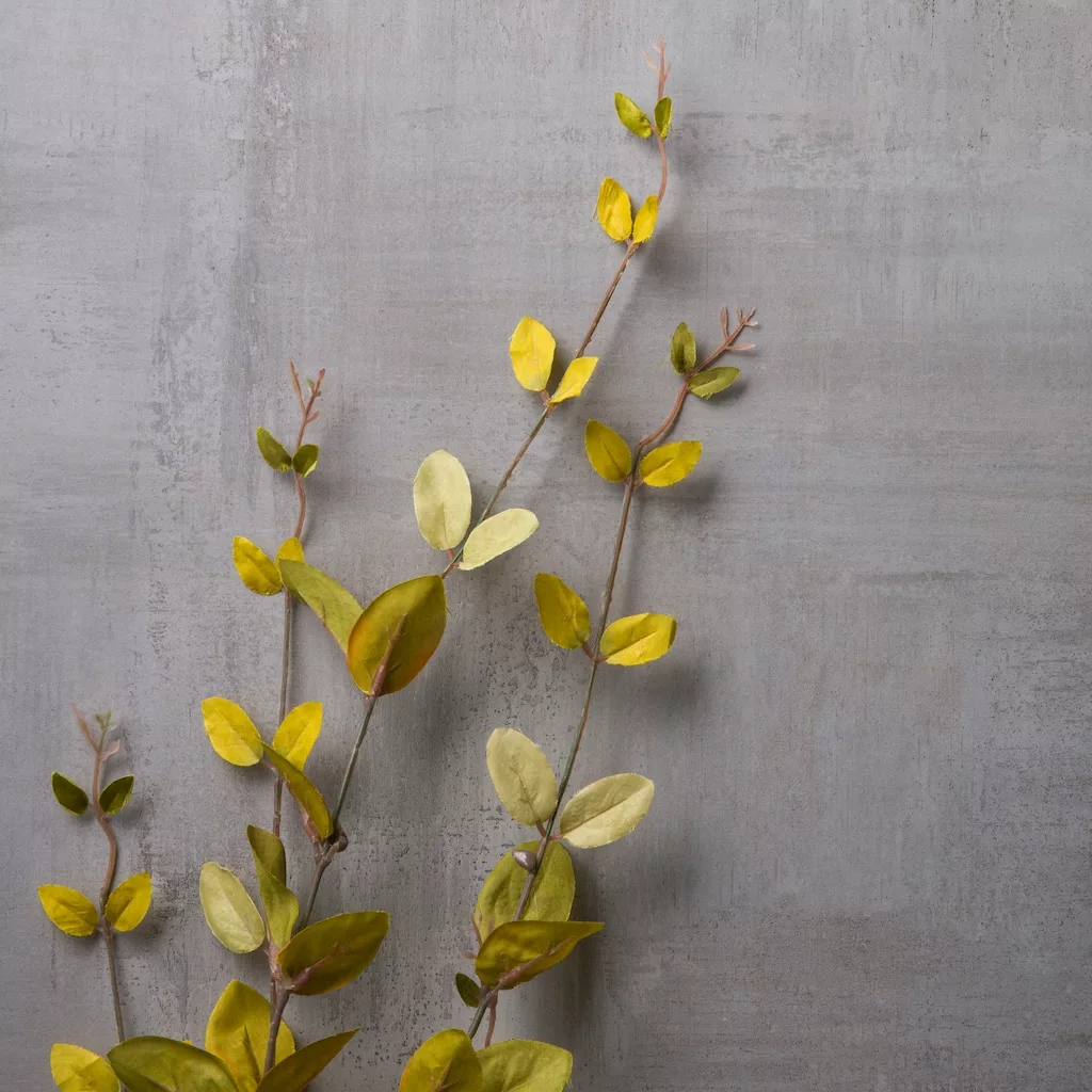 Hot Sale โค๏ธ 12 Pack: Honeysuckle Leaf Spray by Ashland® ๐ 6 Hot Sale โค๏ธ 12 Pack: Honeysuckle Leaf Spray by Ashland® ๐ - Image 4