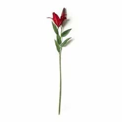 Wholesale 🥰 12 Pack: Red Casablanca Lily Stem by Ashland® 😍 -Ashland Online Store MP430444 21