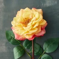 Best reviews of ⌛ 12 Pack: Yellow Orlane Rose Stem by Ashland® 👍 -Ashland Online Store MP430476 20