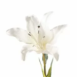 Cheapest 🎉 16 Pack: White Lily Stem by Ashland® 👍 -Ashland Online Store MP450085 20