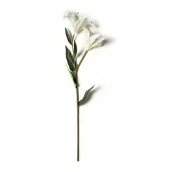 Cheapest 🎉 16 Pack: White Lily Stem by Ashland® 👍 -Ashland Online Store MP450085 21