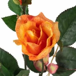 Cheapest ❤️ 12 Pack: Salmon Rose Spray by Ashland® ✔️ -Ashland Online Store MP450090 20