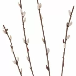 Discount ⌛ 18 Pack: Pussy Willow Stem by Ashland® 😉 -Ashland Online Store MP450208 20