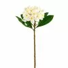 Deals 🔔 12 Pack: White Frangipani Stem by Ashland® ❤️ -Ashland Online Store MP450428 1