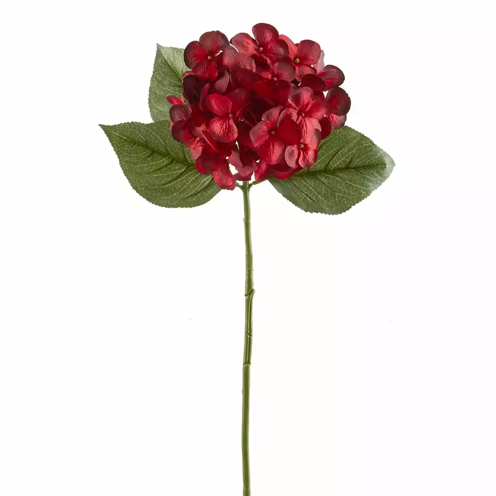 Budget 🥰 12 Pack: Burgundy Hydrangea Stem by Ashland® ⭐ 3 Budget 🥰 12 Pack: Burgundy Hydrangea Stem by Ashland® ⭐
