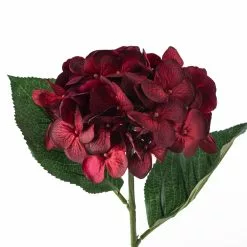 Budget 🥰 12 Pack: Burgundy Hydrangea Stem by Ashland® ⭐ 9 Budget 🥰 12 Pack: Burgundy Hydrangea Stem by Ashland® ⭐ -Ashland Online Store MP451148 20