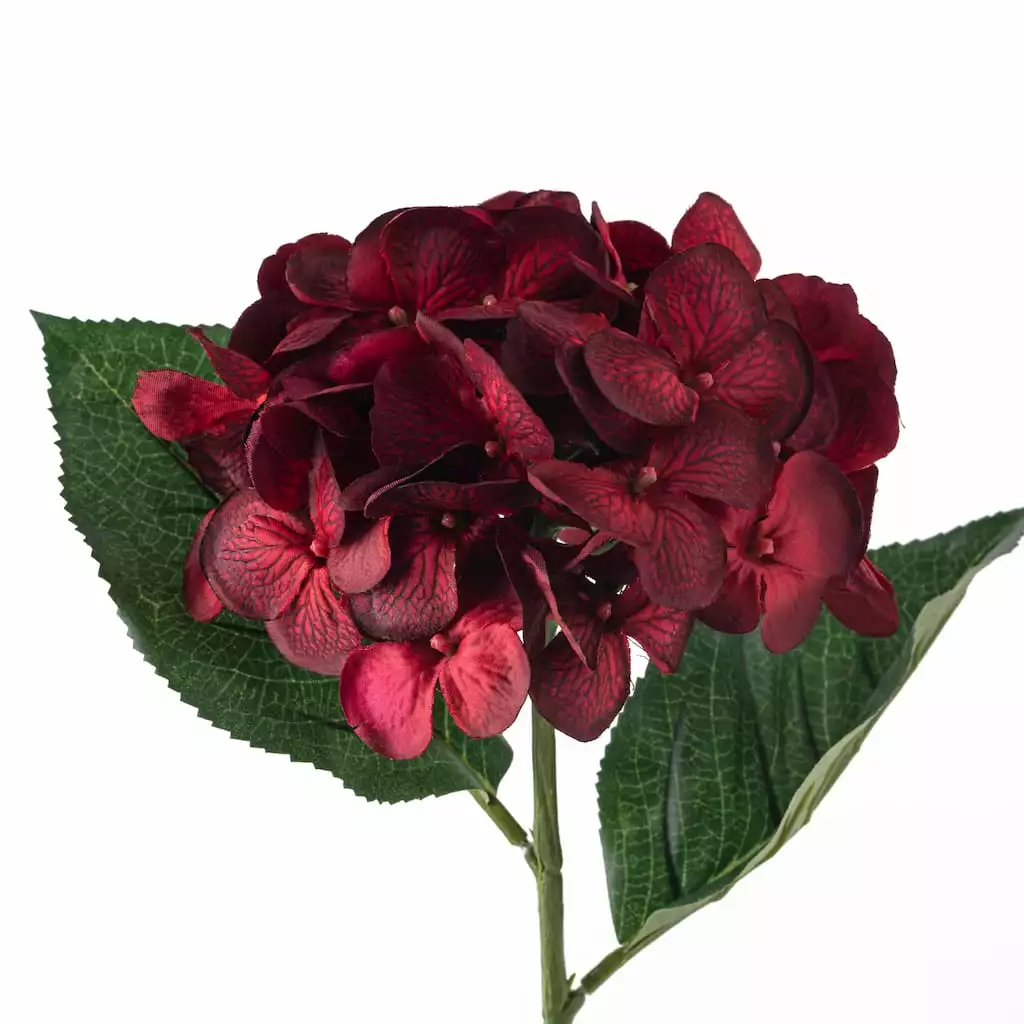 Budget 🥰 12 Pack: Burgundy Hydrangea Stem by Ashland® ⭐ 6 Budget 🥰 12 Pack: Burgundy Hydrangea Stem by Ashland® ⭐ - Image 4