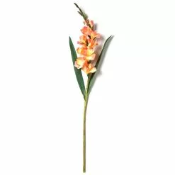 New ❤️ 12 Pack: Salmon Gladiolus Stem by Ashland® ✨ -Ashland Online Store MP451152 21