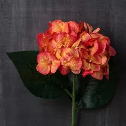 Flash Sale 🥰 12 Pack: Orange Hydrangea Stem by Ashland® 😀 -Ashland Online Store MP451157 22