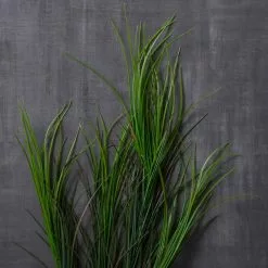 Discount 🛒 12 Pack: Assorted Green Grass Bush by Ashland® 💯 -Ashland Online Store MP454490 22