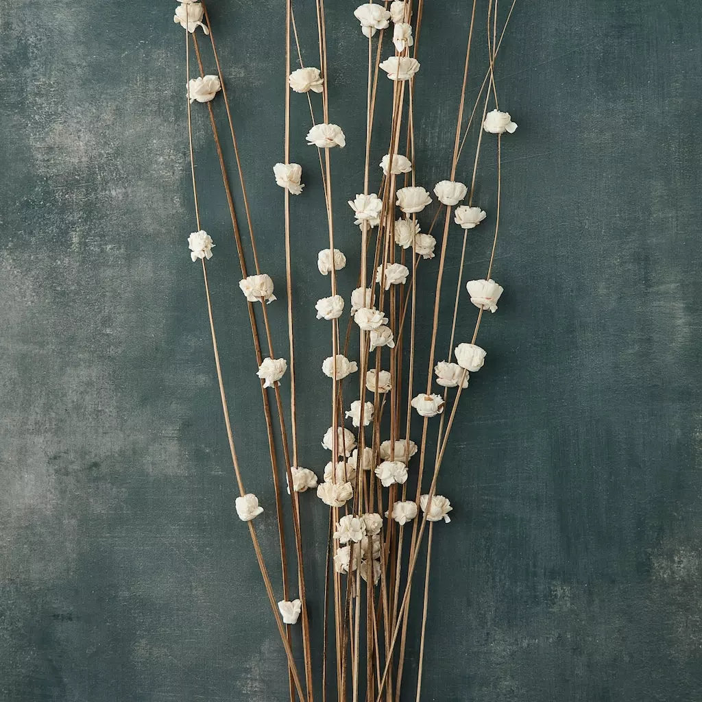 Outlet ⭐ 6 Pack: Natural Ting Branches with Sola Flowers by Ashland® ✨ 4 Outlet ⭐ 6 Pack: Natural Ting Branches with Sola Flowers by Ashland® ✨ - Image 2