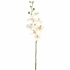 Best deal 🤩 12 Pack: Cream & Pink Orchid Spray by Ashland® 😉