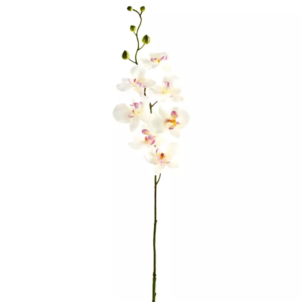 Best deal ๐คฉ 12 Pack: Cream & Pink Orchid Spray by Ashland® ๐ 3 Best deal ๐คฉ 12 Pack: Cream & Pink Orchid Spray by Ashland® ๐