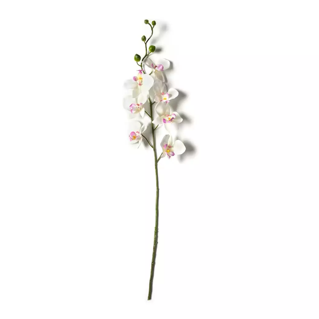 Best deal ๐คฉ 12 Pack: Cream & Pink Orchid Spray by Ashland® ๐ 5 Best deal ๐คฉ 12 Pack: Cream & Pink Orchid Spray by Ashland® ๐ - Image 3