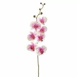 Coupon ⌛ 12 Pack: Pink & White Orchid Spray by Ashland® 😍
