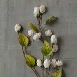 New ✔️ 12 Pack: Cream Hops Spray by Ashland® ⭐ -Ashland Online Store MP461196 25