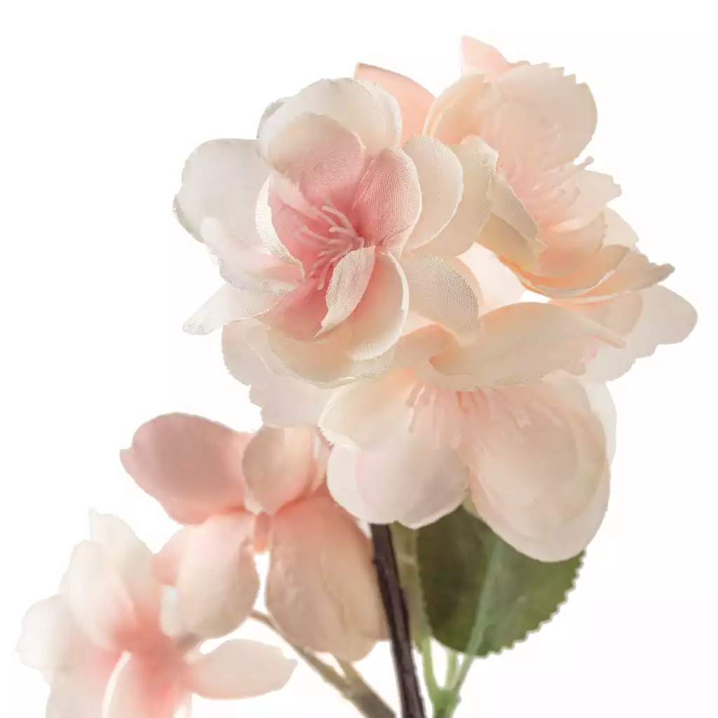 Deals ๐ 12 Pack: Coral & White Blossom Spray by Ashland® ๐ 4 Deals ๐ 12 Pack: Coral & White Blossom Spray by Ashland® ๐ - Image 2