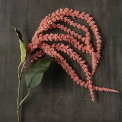 Discount 🧨 12 Pack: Pink & Cream Amaranthus Stem by Ashland® ✨ 9 Discount 🧨 12 Pack: Pink & Cream Amaranthus Stem by Ashland® ✨ -Ashland Online Store MP461604 25