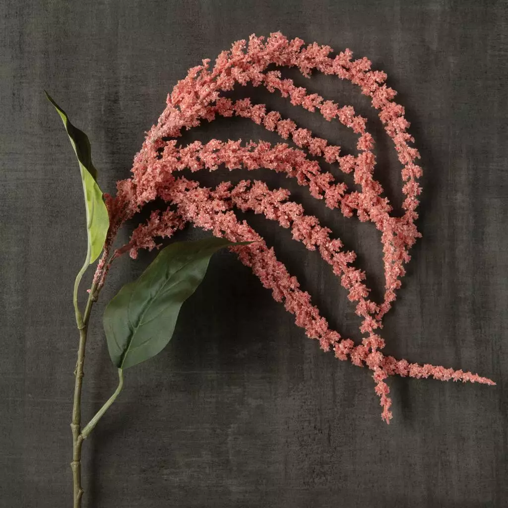 Discount 🧨 12 Pack: Pink & Cream Amaranthus Stem by Ashland® ✨ 6 Discount 🧨 12 Pack: Pink & Cream Amaranthus Stem by Ashland® ✨ - Image 4