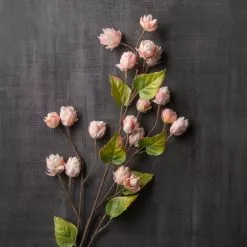 Deals 👏 12 Pack: Blush Hops Stem by Ashland® 😀 -Ashland Online Store MP461606 22